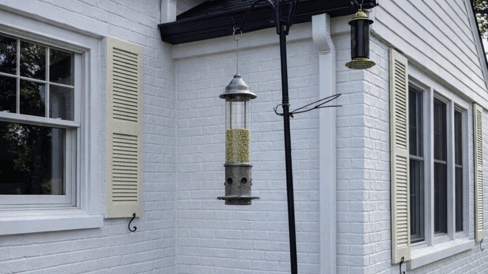 Window corner with gutter and feeders | Tycos Roofing And Siding Inc White brick exterior with window, hanging bird feeder, and gutter downspout