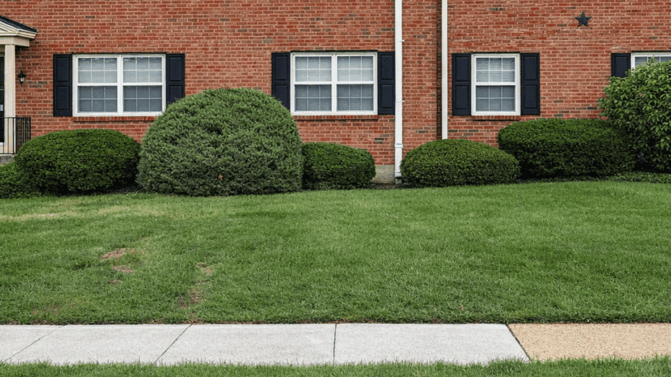 Brick apartment building with dark shingle roof and landscaped lawn