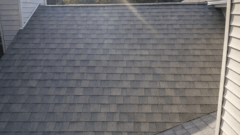 Sunlit expanse of asphalt shingles across a sloped roof with chimney at left.