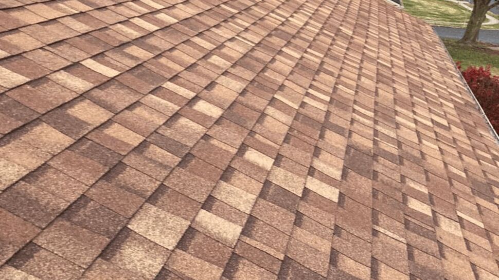 Angled perspective of a continuous brown shingle roof slope with nearby tree