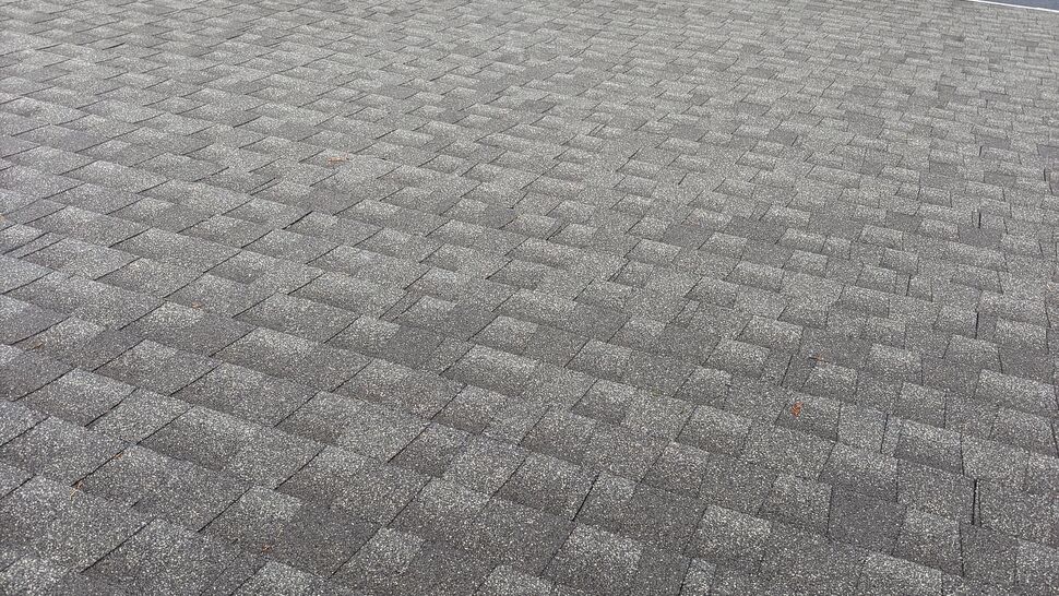 Expansive gray shingle roof overlooking a parking lot and trees