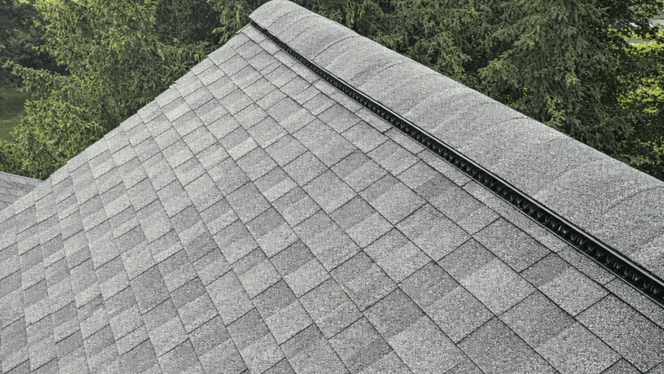 Shingled roof slope with a ridge vent and trees in the background
