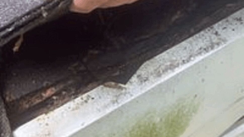 Hand lifting a shingle to reveal a damaged gutter and rotted wood beneath.