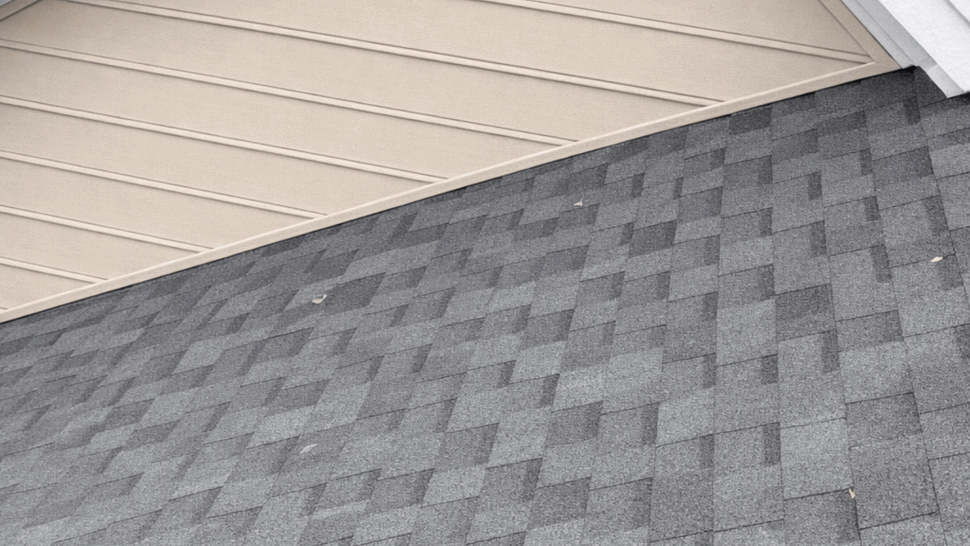 Close-up of a home soffit, white fascia and adjoining gray roof shingles.