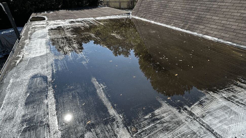 Flat black roof with significant ponding water reflecting nearby trees.