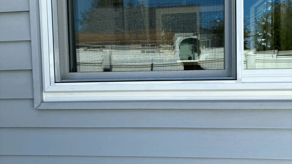 Ground-level Window with Reflective Glass | Tycos Roofing And Siding Inc Residential window with reflective glass set in light gray siding