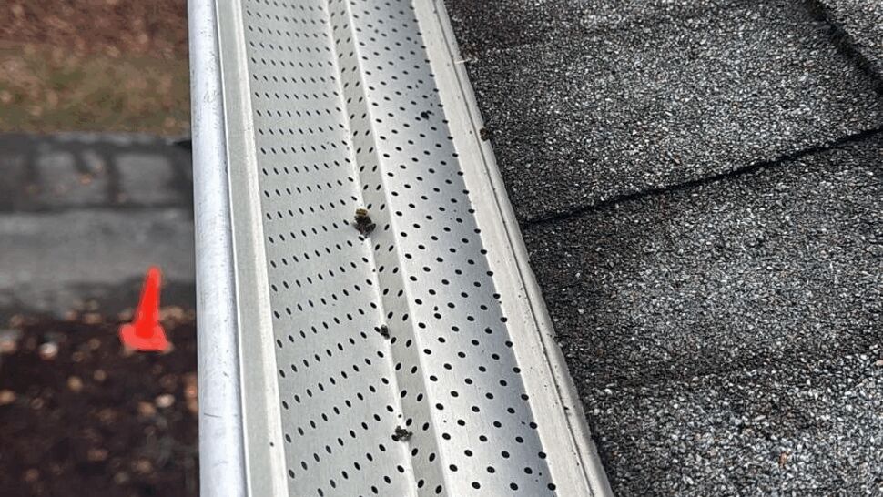 Close-up of perforated gutter guard and aluminum gutter next to roof shingles