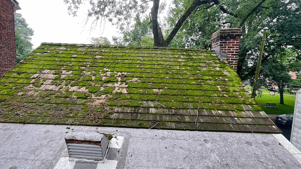 Moss-Covered Roof | Tycos Roofing And Siding Inc A heavily moss-covered roof with weathered shingles, debris, and a brick chimney