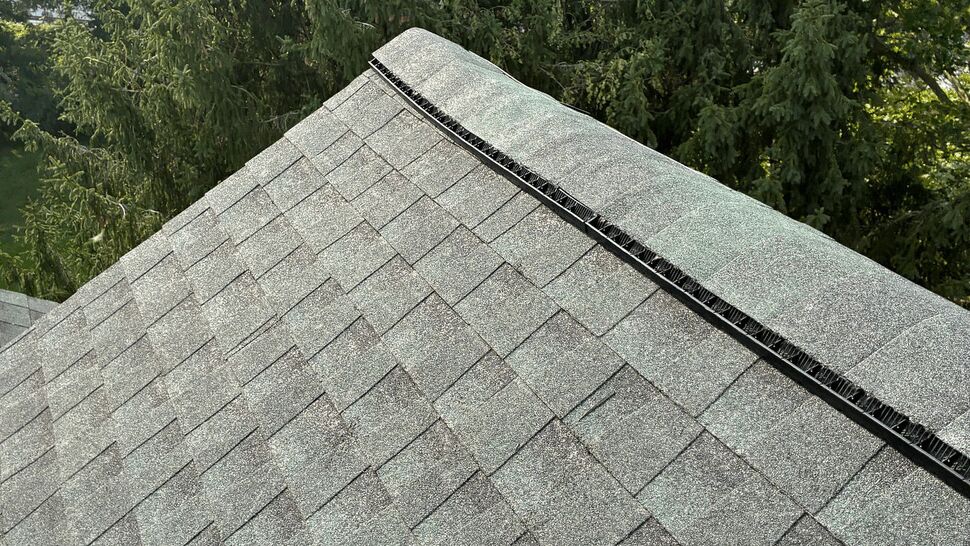 Shingled roof slope with a ridge vent and trees in the background