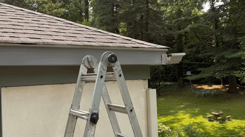 Aluminum ladder against house leading to shingled roof and eaves