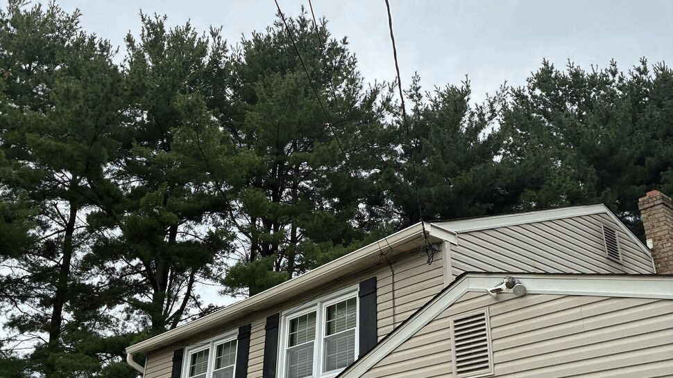 Roofline gutter and eave detail | Tycos Roofing And Siding Inc Upper roofline with gutter, soffit and tall trees in background