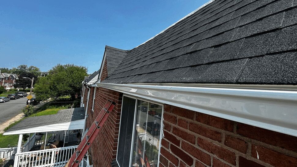 Shingled roofline with white gutter and ladder leading up to the eaves.