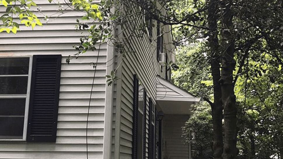 Side elevation of house with multiple windows, vinyl siding and surrounding trees.