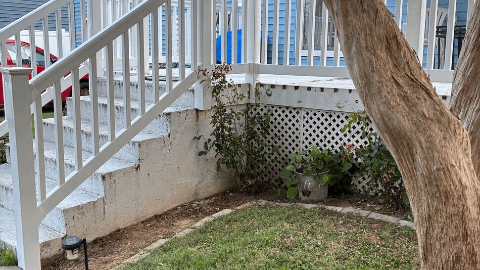 Side view of blue siding with white deck railing and a tree trunk in foreground