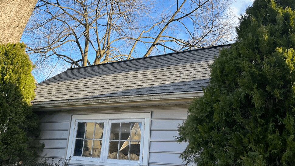 Small side building showing multi-pane window and pale siding