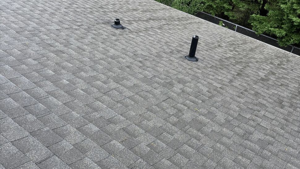 Broad gray shingle roof with two black ventilation pipes