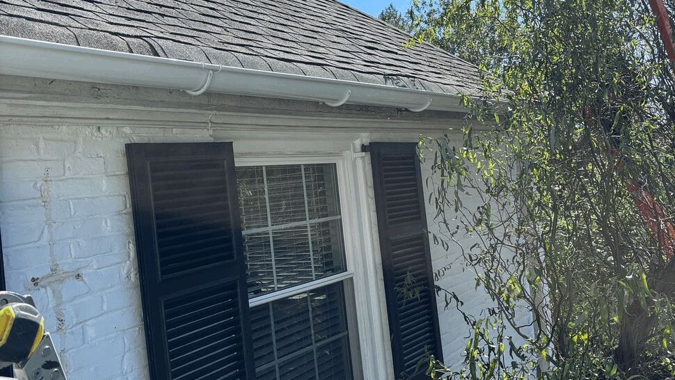 Window with black shutters under a white gutter and nearby ladder