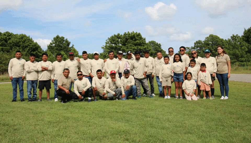 Content Section Image