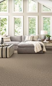 Exploring Bold and Unique Carpet Trends