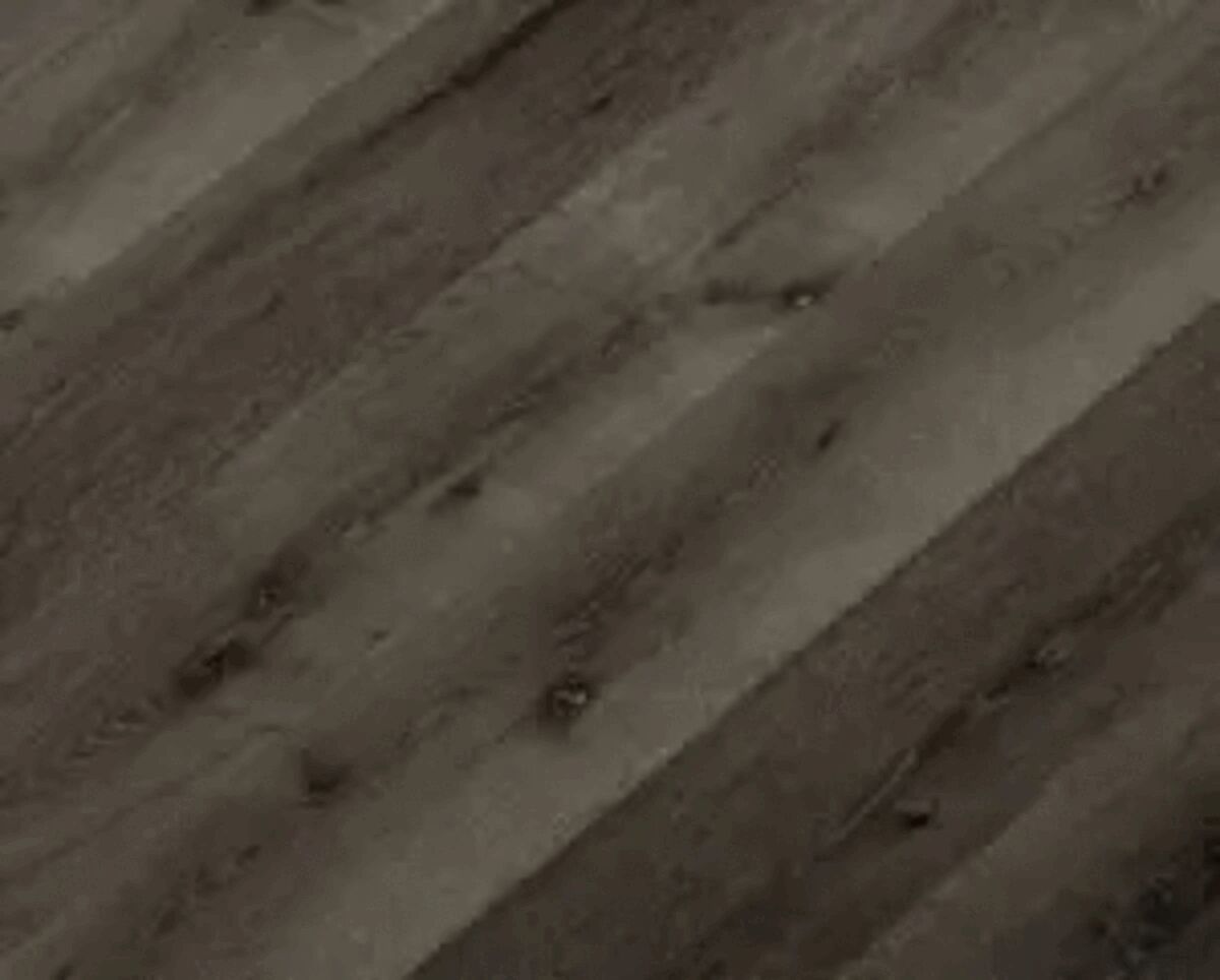 New Products for the New Year!