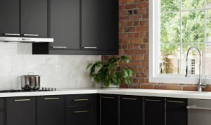 True Value with Stock Cabinets