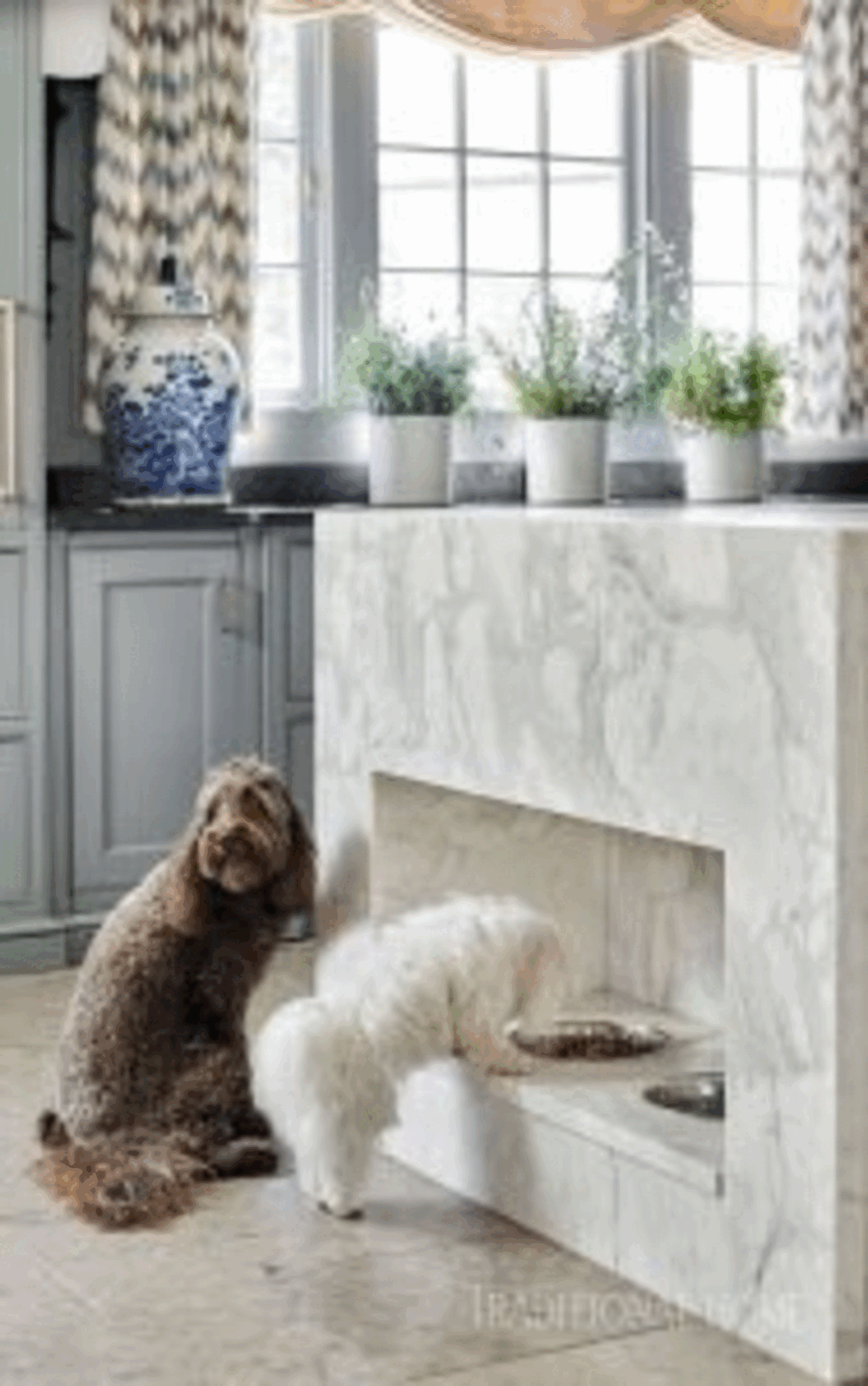 ACo Kitchen Accessory Wish List: Top 5