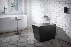 kohler connect