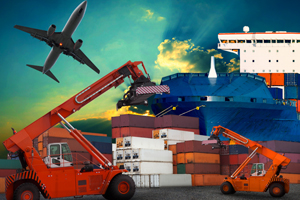INTERNATIONAL MOVERS