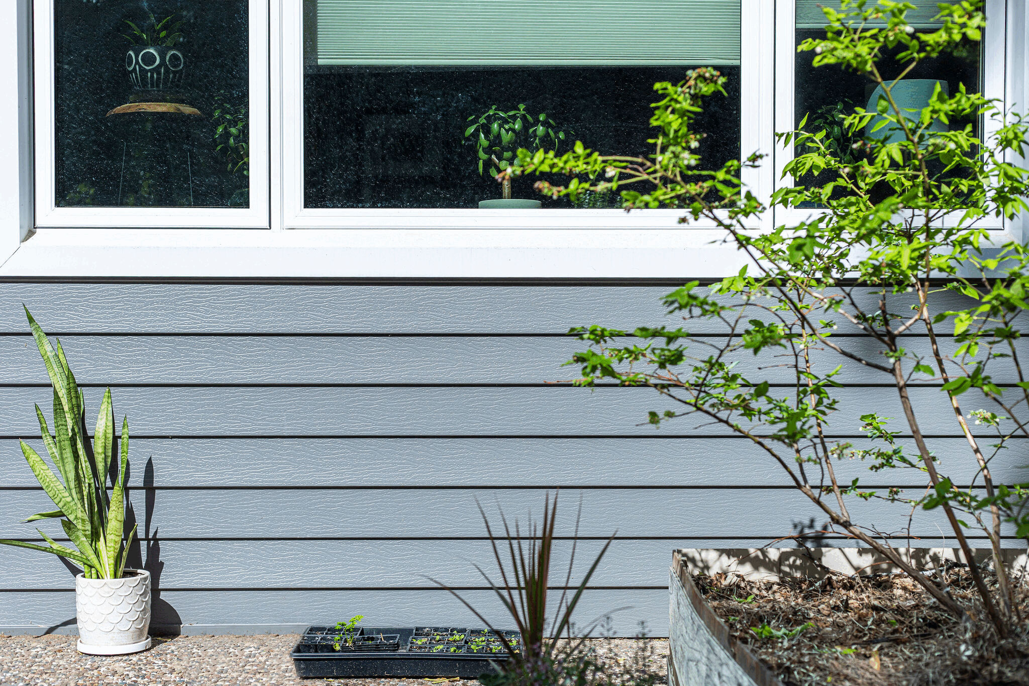 Siding Types & Options
