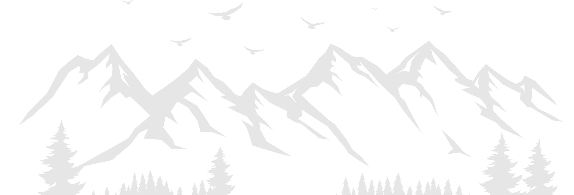 Service Areas Section Background Image