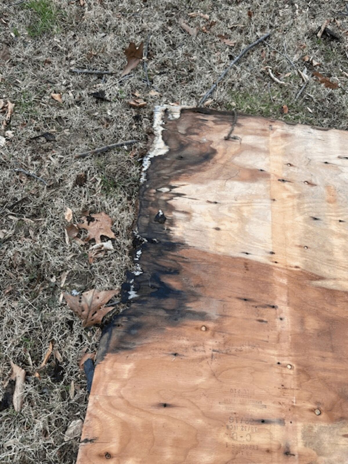 Rotted Wood Exposed: Why You Should Never Ignore Roof Issues