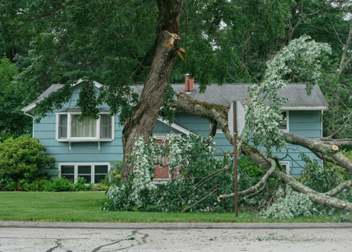 What Should I Do After Storm Damage to My Home in Maryland?