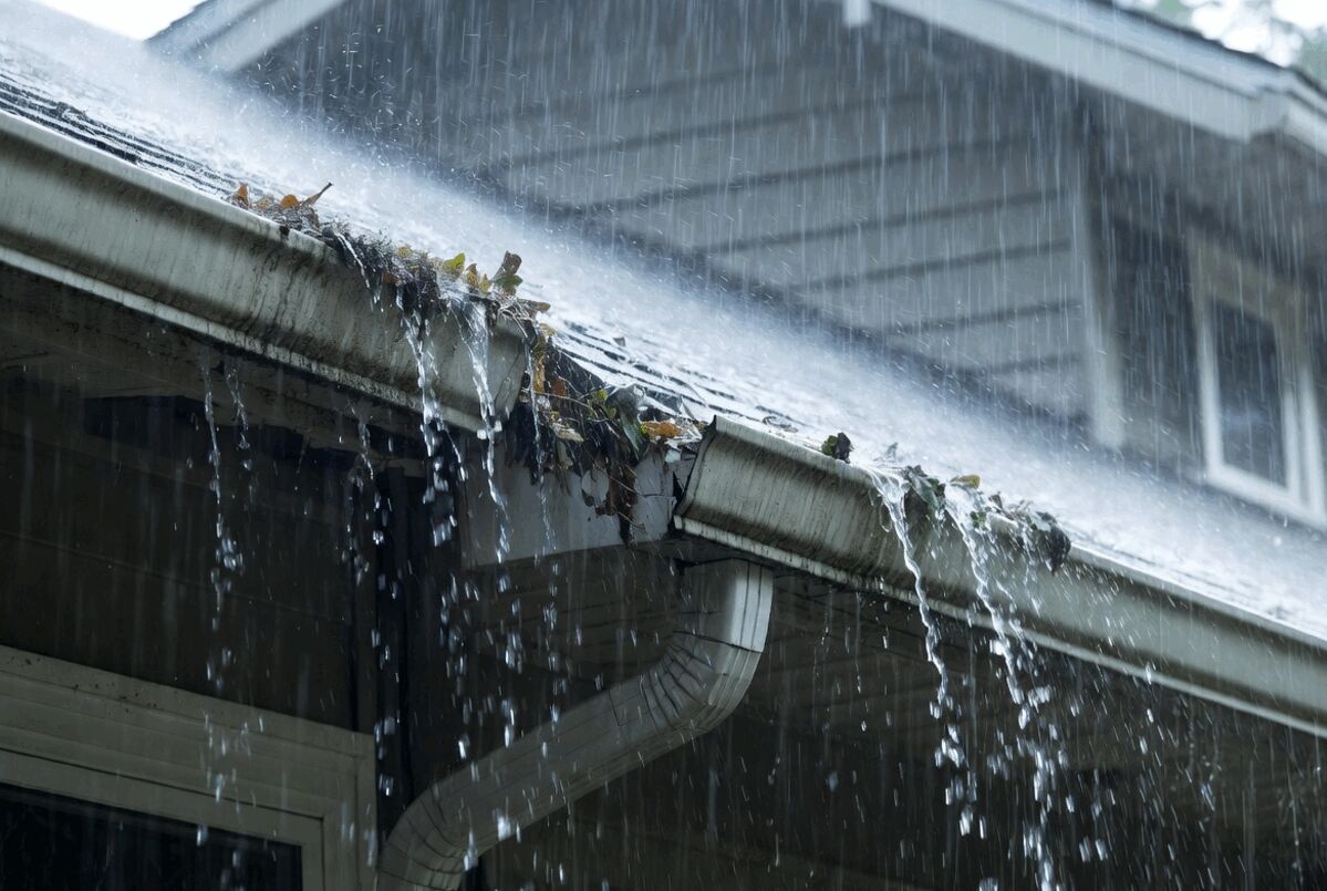 Gutter Solutions for Harford County Homes: Protecting Your Property from Water Damage Year-Round