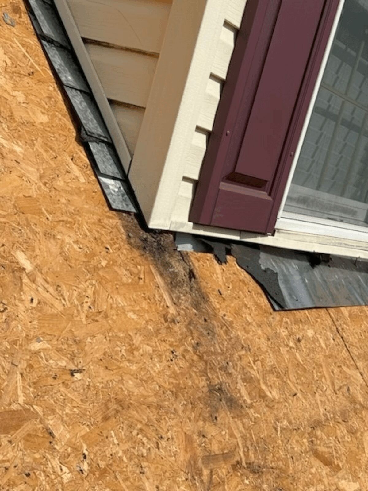 Rotted Wood Exposed: Why You Should Never Ignore Roof Issues