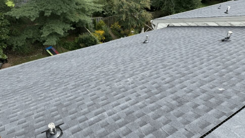 Close-up of asphalt shingle field with roof vents visible
