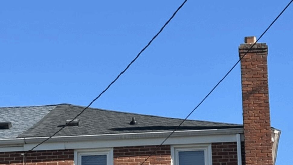 Chimney and Roof Inspection | Atlas Exteriors Gray shingle roof and brick chimney viewed beneath overhead utility wires.
