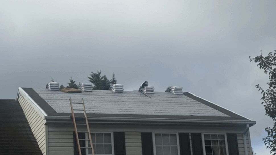 Roof stripped to deck with ladder and ventilation pipes during prep