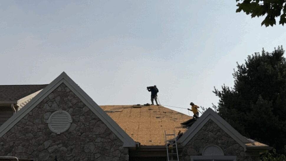 Roofers on roof removing old shingles and exposing decking near ladder.