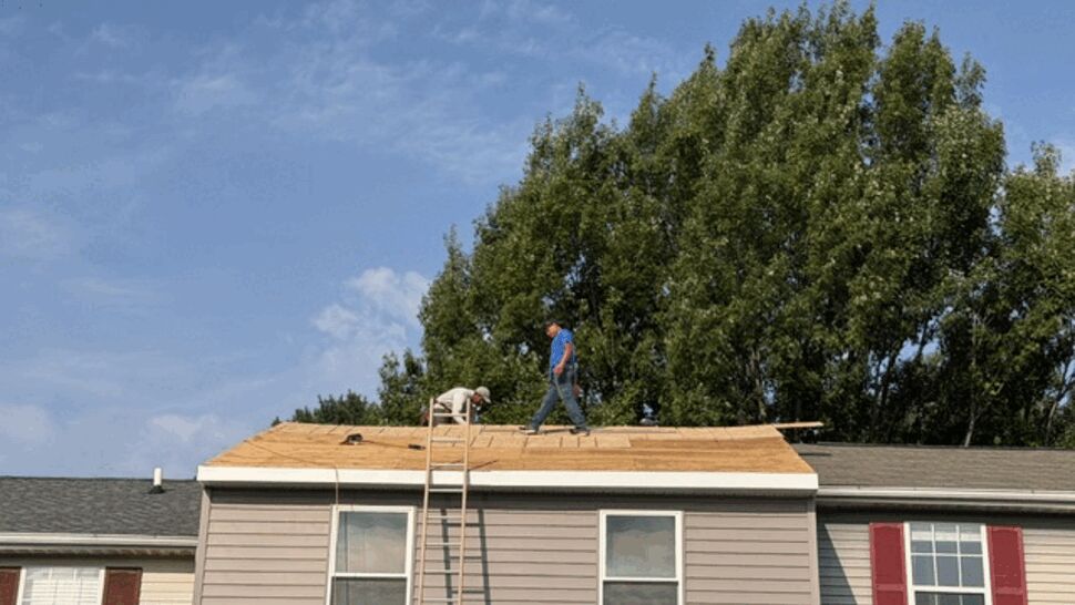 Two roofers on top of a roof installing plywood decking with a ladder.