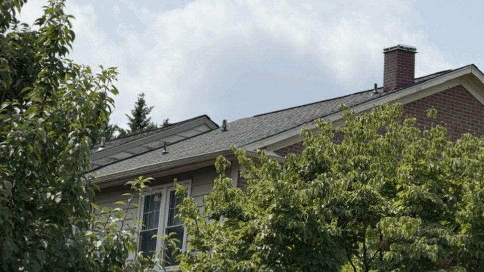 Side gable roof with chimney and surrounding trees