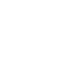 DominionX Logo