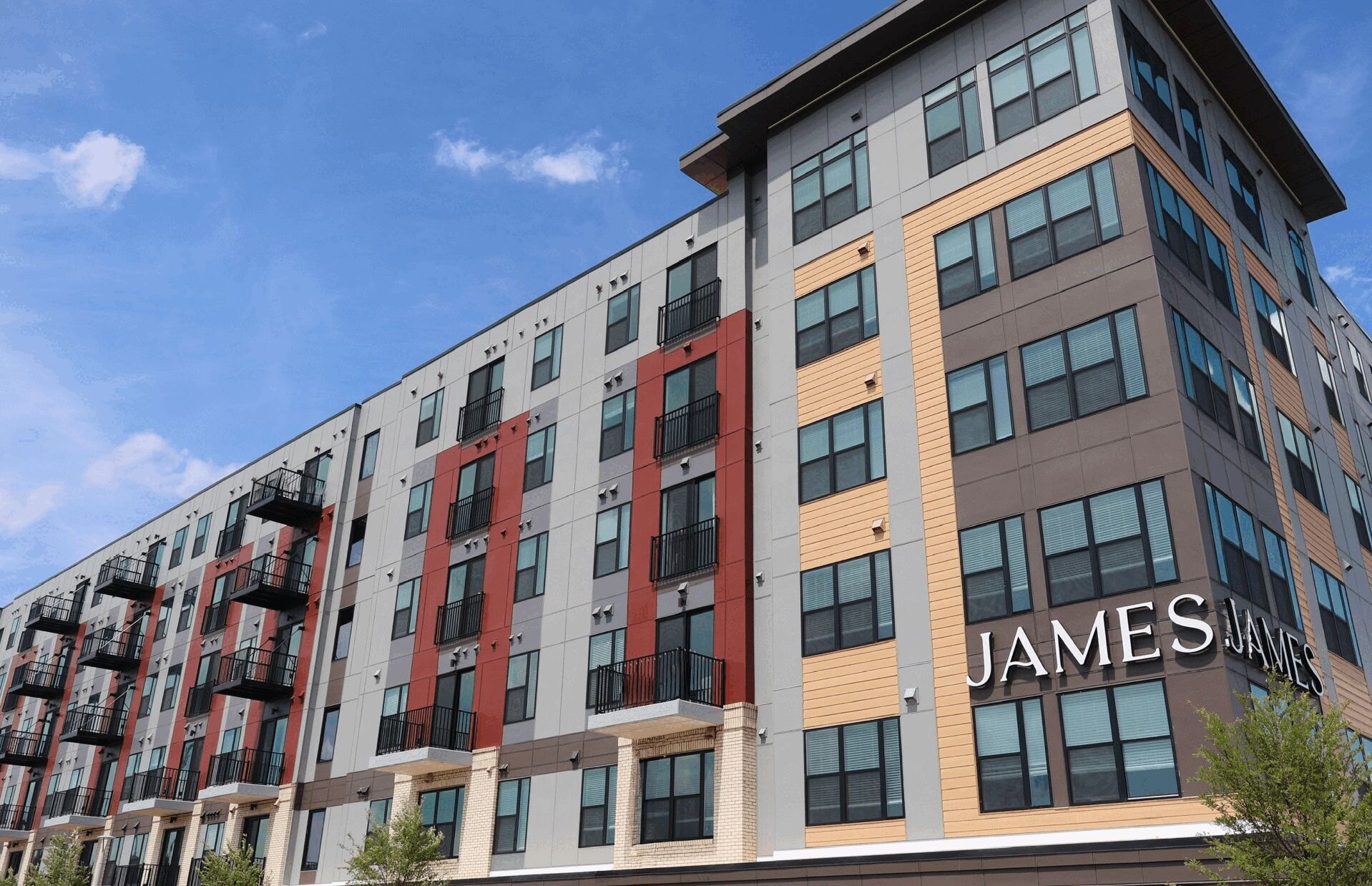 Content Section Image