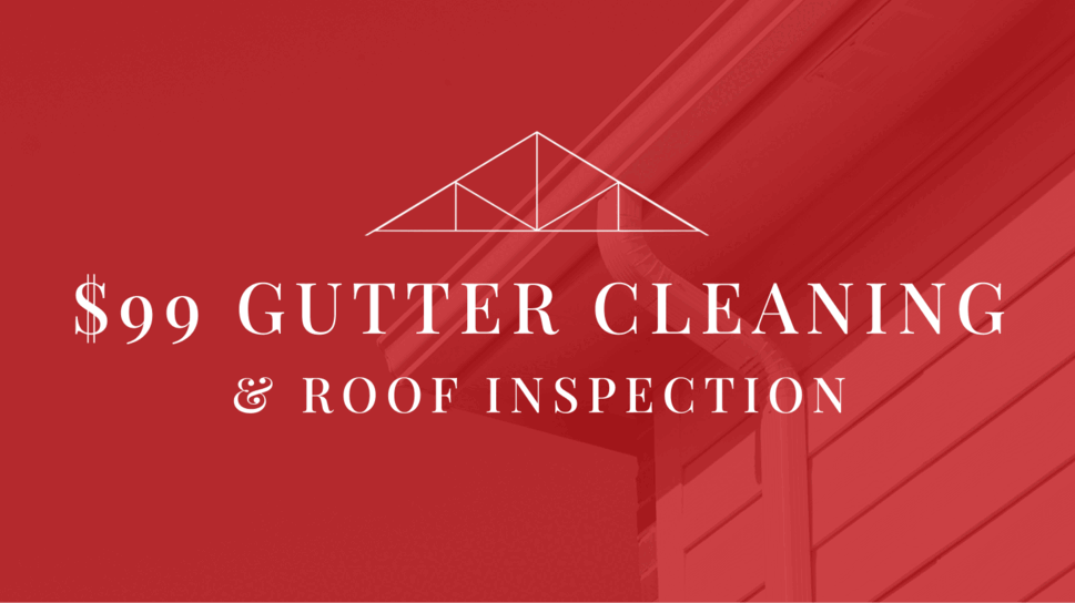 99-gutter-cleaning