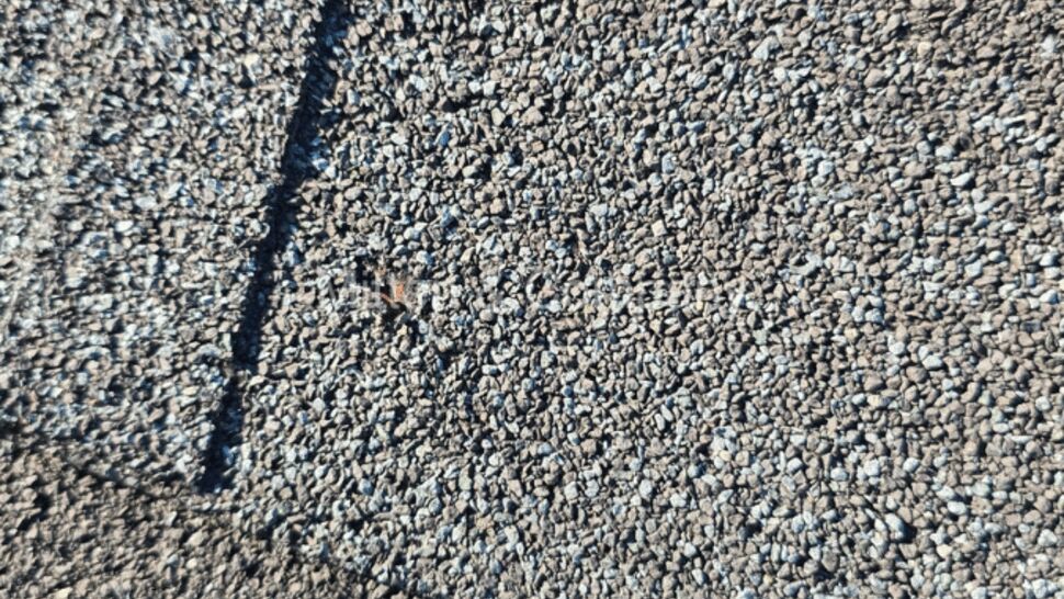 Close-up texture of asphalt shingle granules and seams