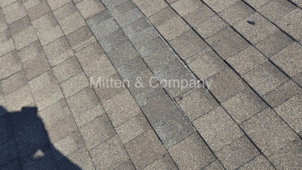 Close-up of asphalt shingle roof showing patterned shingles and slight wear.