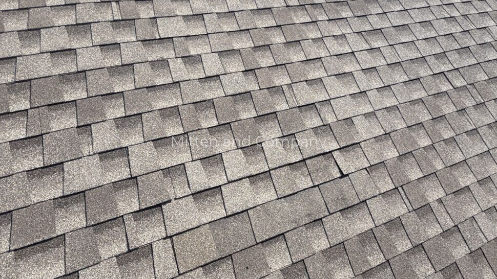 Asphalt Shingle Roof Inspection | Mitten & Company Wide view of gray asphalt shingle roof field with consistent shingle pattern