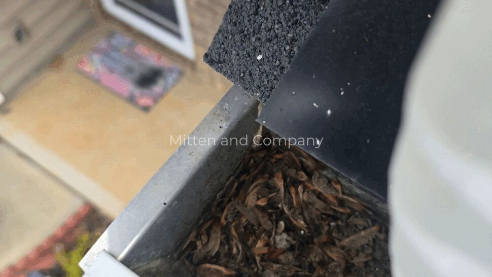 Gutter filled with leaves and debris beside roof shingles