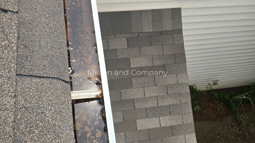 Clogged Gutter at Roof Edge | Mitten & Company Leaf-filled gutter beside gray roof shingles and white siding
