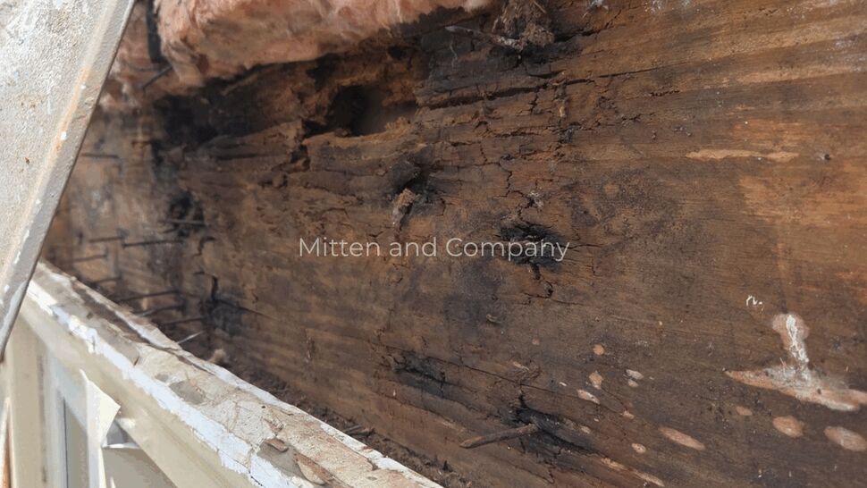 Damaged Siding Wall Inspection | Mitten & Company Close-up of deteriorated wood framing beneath exterior siding