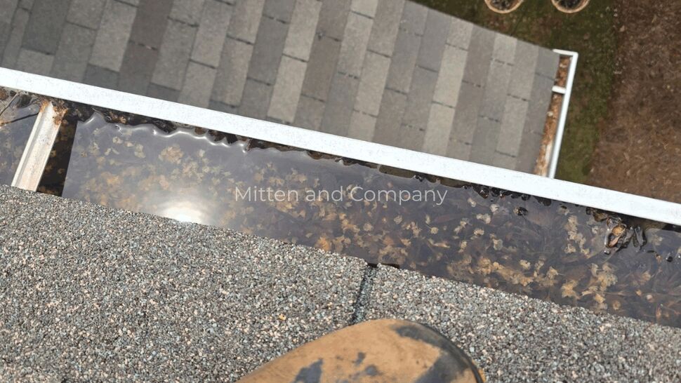 Debris-Filled Roof Gutter | Mitten & Company Roof gutter filled with leaves and standing water